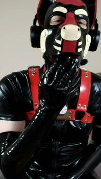 Hot Wax Dripping on This Needy Pup