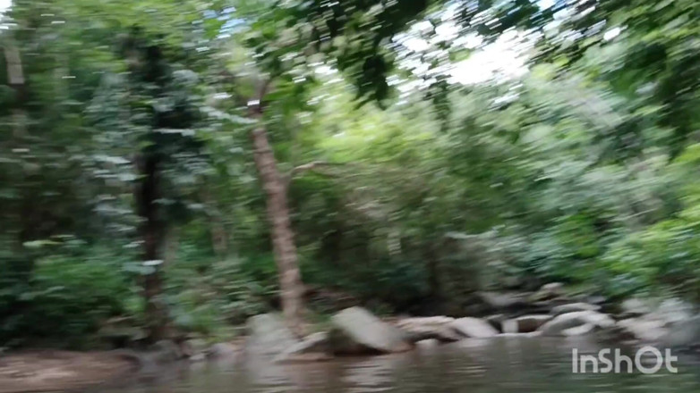 Tomsorte: Đường mòn Crown nóng bỏng