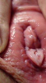 Primo Piano Di Masturbazione Della Figa E Anale
