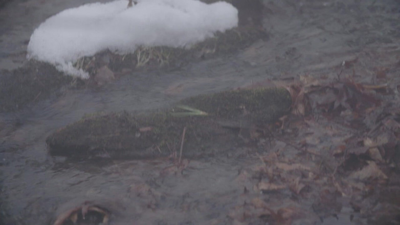 Himeros.tv: Naked in Nature