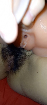 Labubu Tourist Doll Hairy Pussy North Korea