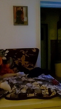 Jovem casal faz sexo à meia-noite