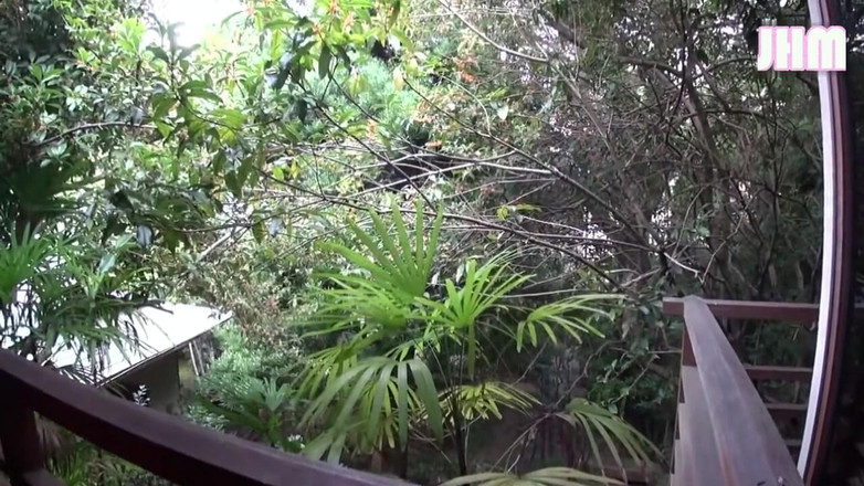 Japanese Hentai Matings: Aféra v letovisku - Arisa, 41 -3