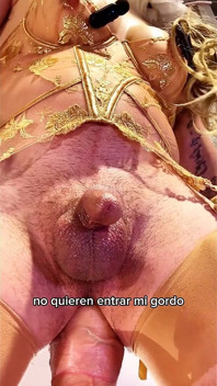 Une trans sexy à forte poitrine se masturbe avec un jouet dans le cul