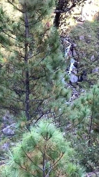 山のハイキングで小柄な赤毛のためのフェラチオと後背位ファック