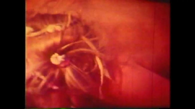 The Unforgettable: Pigi Exciter