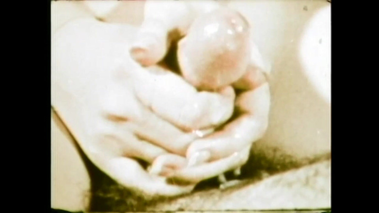 The Unforgettable: Zandy, milovník divočiny