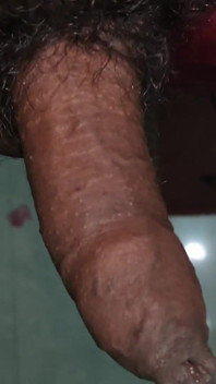 Cute Black Penis
