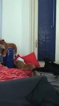 Tânăra este de acord să filmeze un videoclip porno pentru prima dată