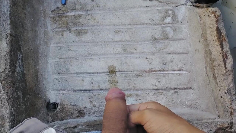 WolfGV: 하루를 시작하는 아침