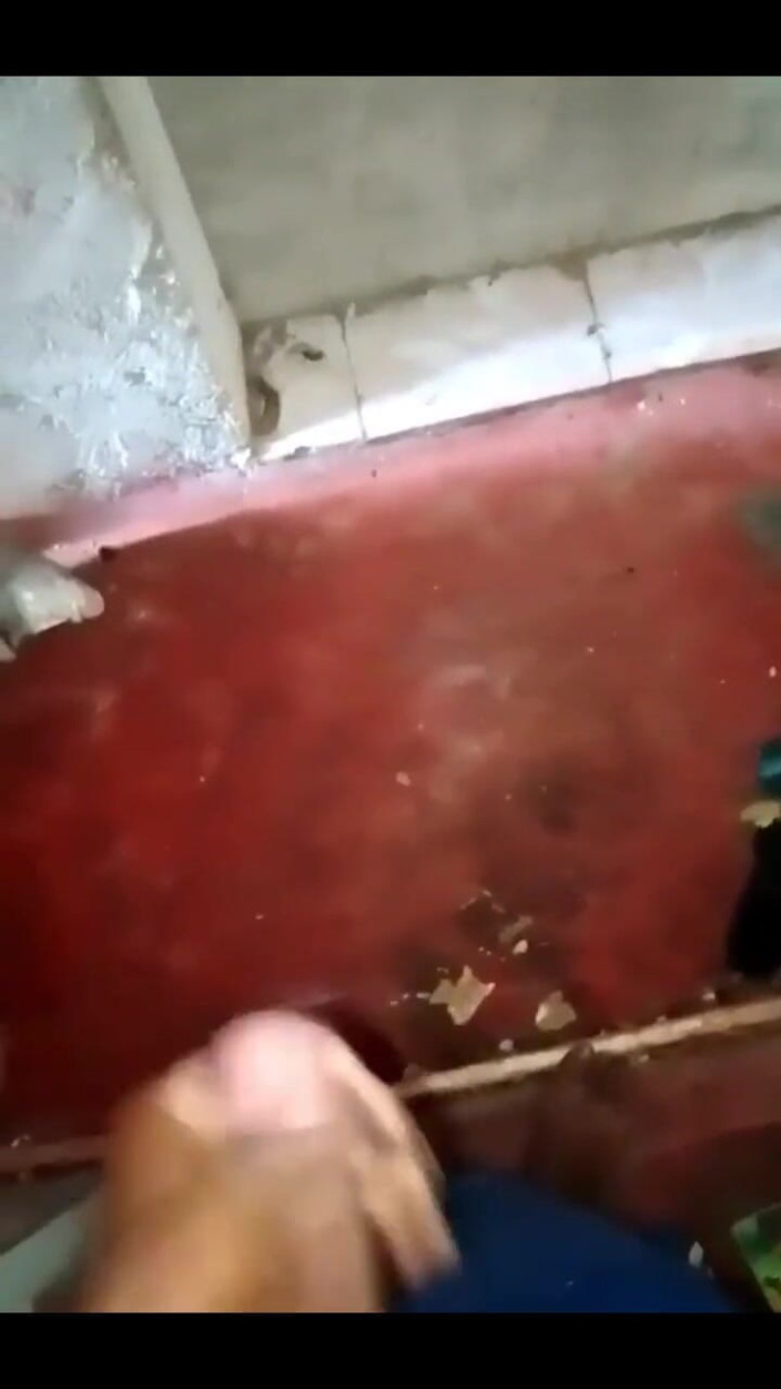 Haydenbbc: 867486332044197888.mp4
