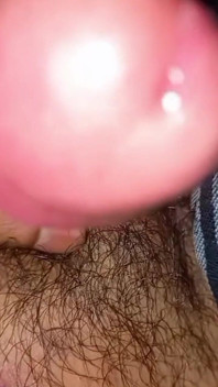 Suck My Cock Very Hard