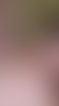 First Anal-versary