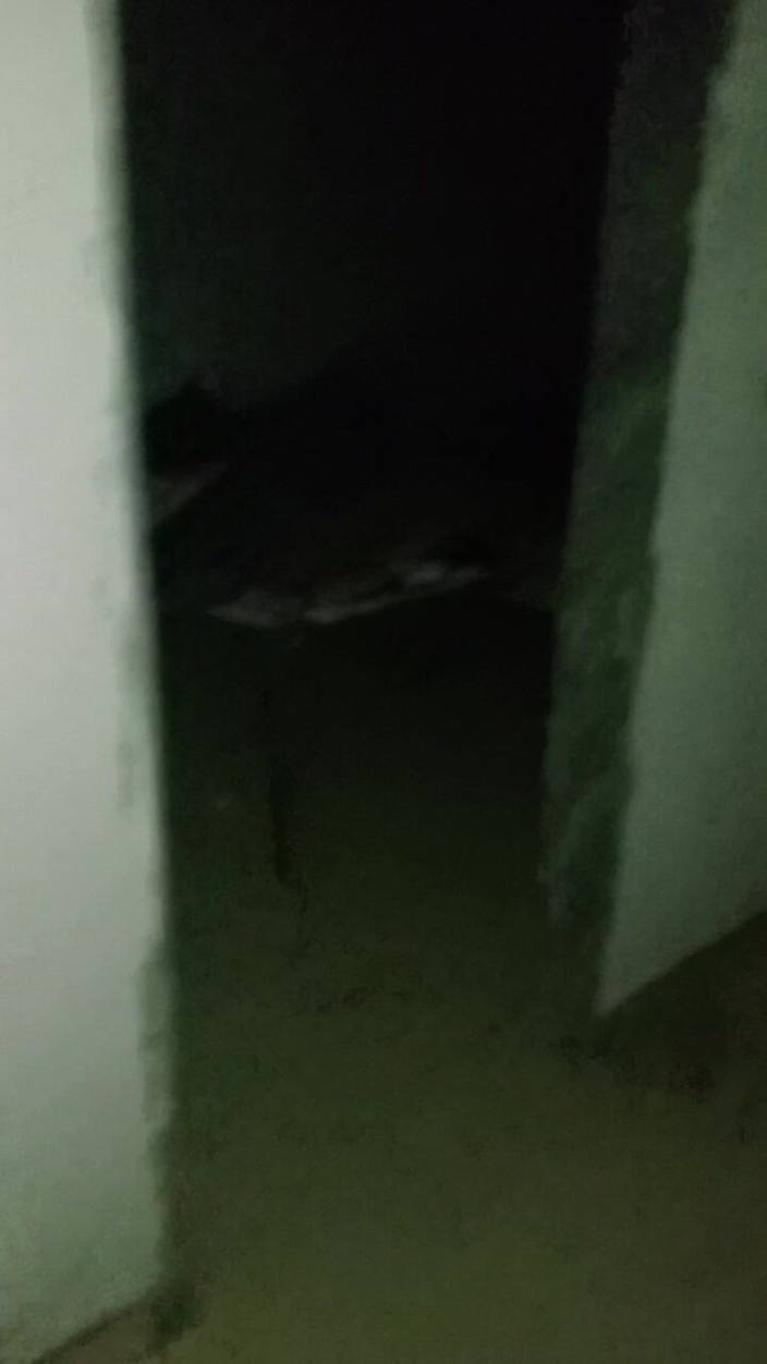 Lifeboy: Noční Vlog Doma a. Sex Přítelkyně