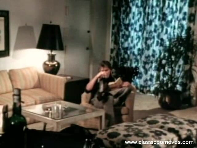 Classic Porn DVDs: Klassieke porno-dvd's: de Jade Poesje: deel 6