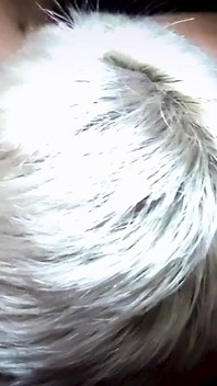 Nieznajomy kurwa tatuaż suka ostro zerżnięta w kinie porno!