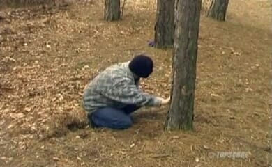 House of lords and mistresses in the spanking zone: На столе, ты сучка