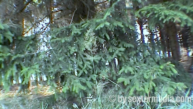 Sextermedia by Pete: Blonde Hitchhiker - Horny Blowjob Di Hutan