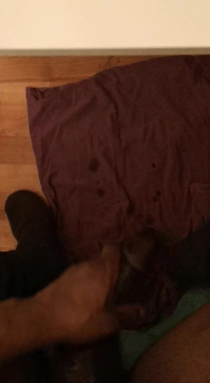 Amadeus: Ngocok kontol besar. Amadeus Mode