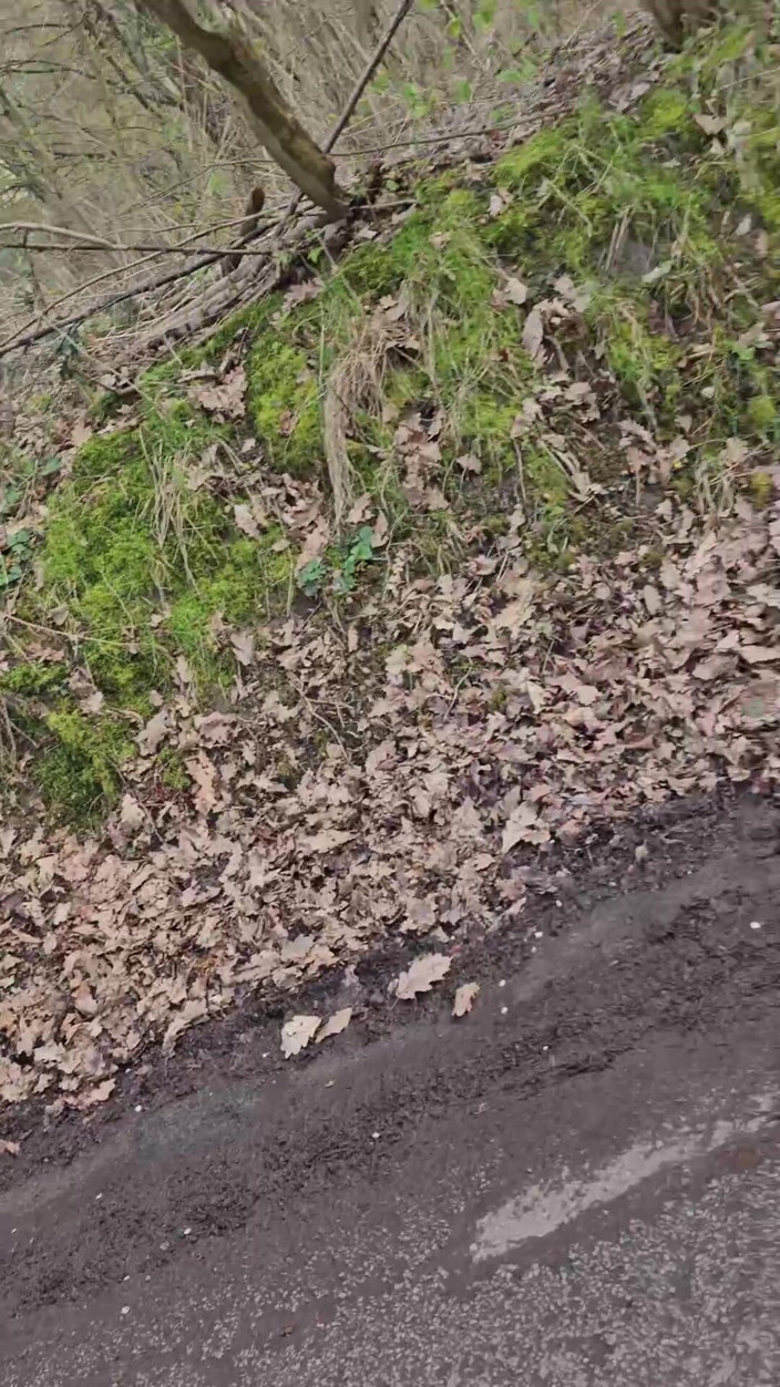 Bikergirl_97: Het promenad med kärleksbollar i fitta!