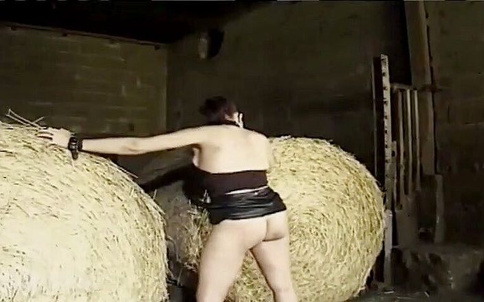 Germany fuckes: Punishment at the barn germany private