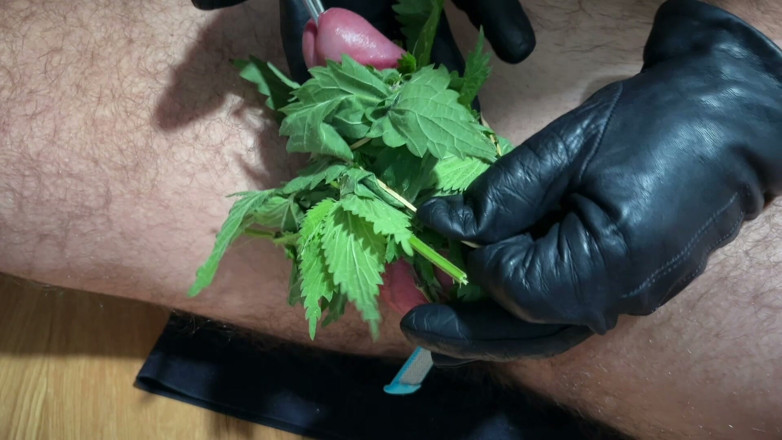 cbtLove: Cum dengan nettles inside di dalam kontol