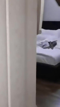 Gorgeous Lesbian Wants a Real Sex Toy in Her Tight Pussy