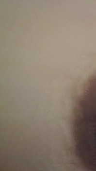 Observator