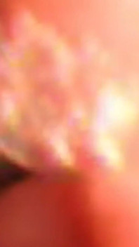 Inside Me The Journey of The Oranye