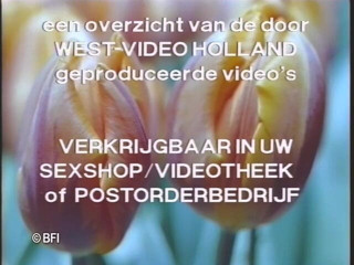 Naughty by nature in Holland: Vyrobeno v Holandsku 7 DVD