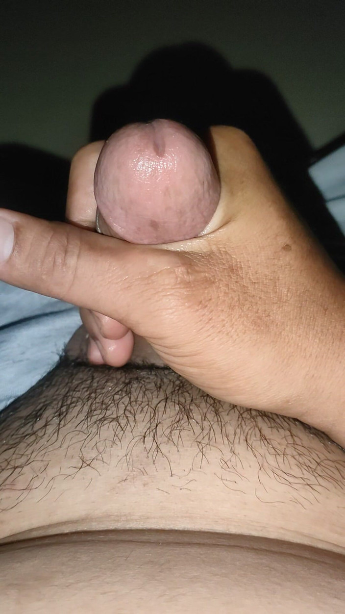 ArchAss: 挤奶之夜！