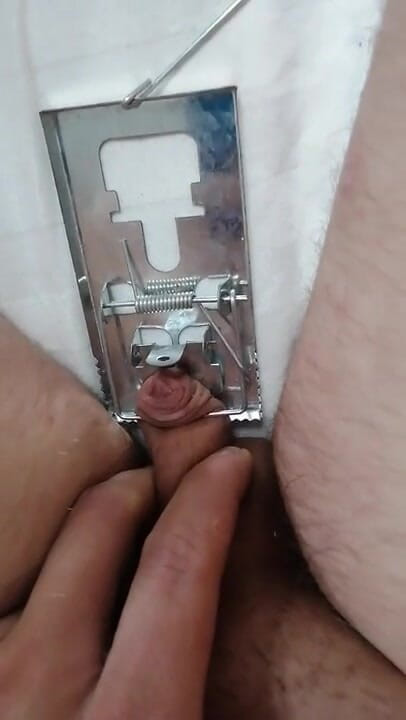 Adashah: Small penis and mouse trap. Cbt BDSM solo