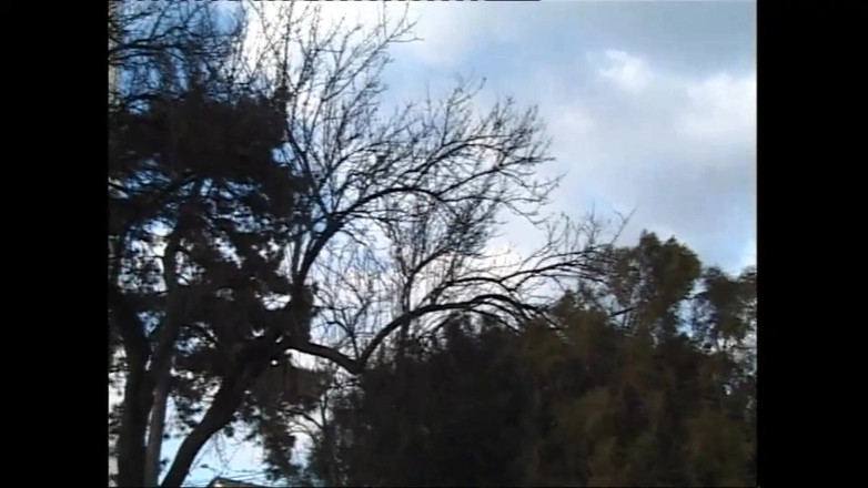 Forte Porno: Claudia i det lilla slottet