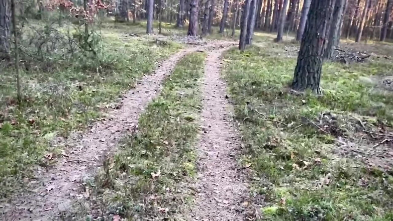 Lily, Goddess of Desire: Morning Amateur Blowjob in the Forest