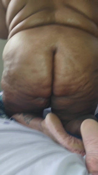 Panmeow95: Vengo oliato