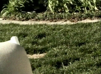 Teens Get it Hard: Amazing brunette teen pussy licked and doggystyled outdoors