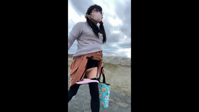 megu2002: Ordre du dresseur n° 29 Exposition pervertie sur une plage publique