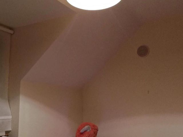 Cum Wank with Me 8 Sept 24 (Matt World)