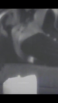 Pure Acts of Perversion From Whores in Heat - Part #2