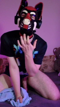 Playful Pup Jerks and Cums in Every Pose