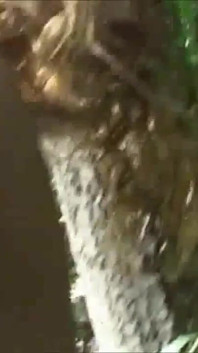 MILF má orgasmus s cizincem