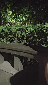 Shemale Ting Xuan Outdoor Amazing Anal