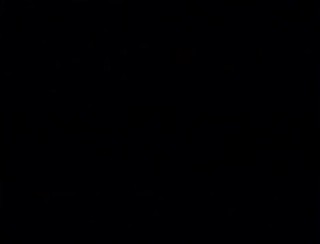 Bitch Girl Video: セックスホテルwih猫食べる前にもっと