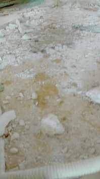 Carol Vega: Beautiful Carol Vega Takes a Wee in an Abandoned House