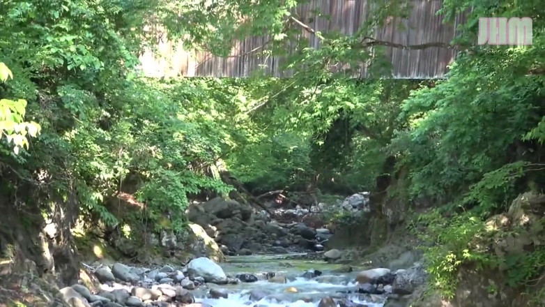 Japanese Hentai Matings: ResortFlucht mit Kanoka, einer 42-jährigen verheirateten Frau - 1