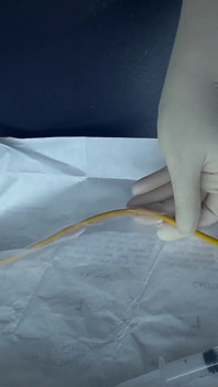 Twisted Nymphs - Intubate Rose Part 9