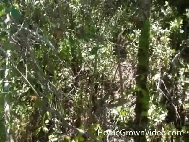 Homegrown Oral: Natalie swallows a cock down by the lake