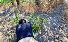 Seks anal selama 365 hari - hari ke-191 yang belum pernah direkam sama pacarnya di hutan - petualangan akuntansi