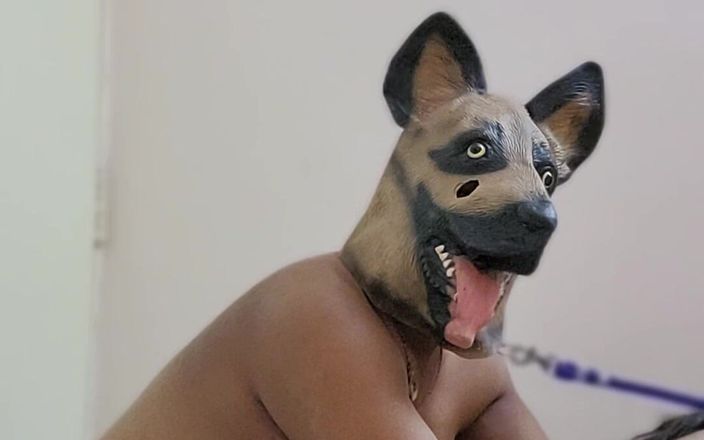 Indiansissychubby: My New Pet
