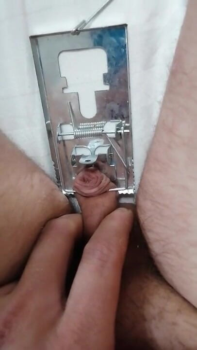 Adashah: Zakar kecil dan perangkap tetikus. Cbt BDSM solo